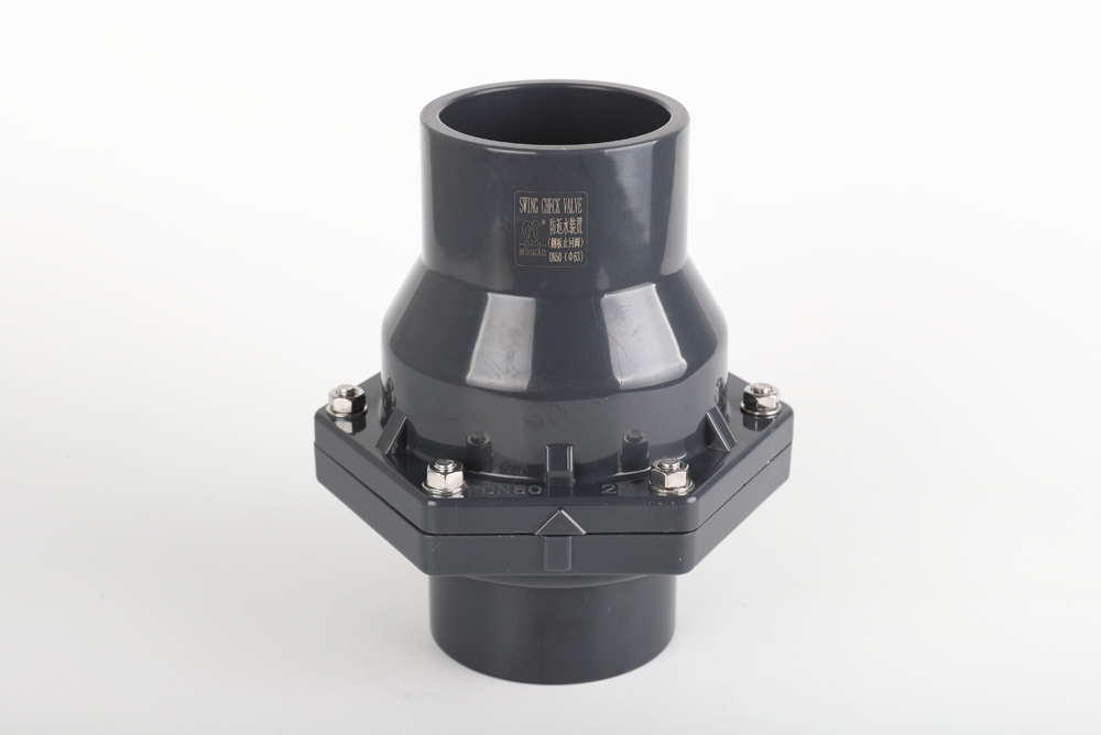 汝南翻板式止回阀